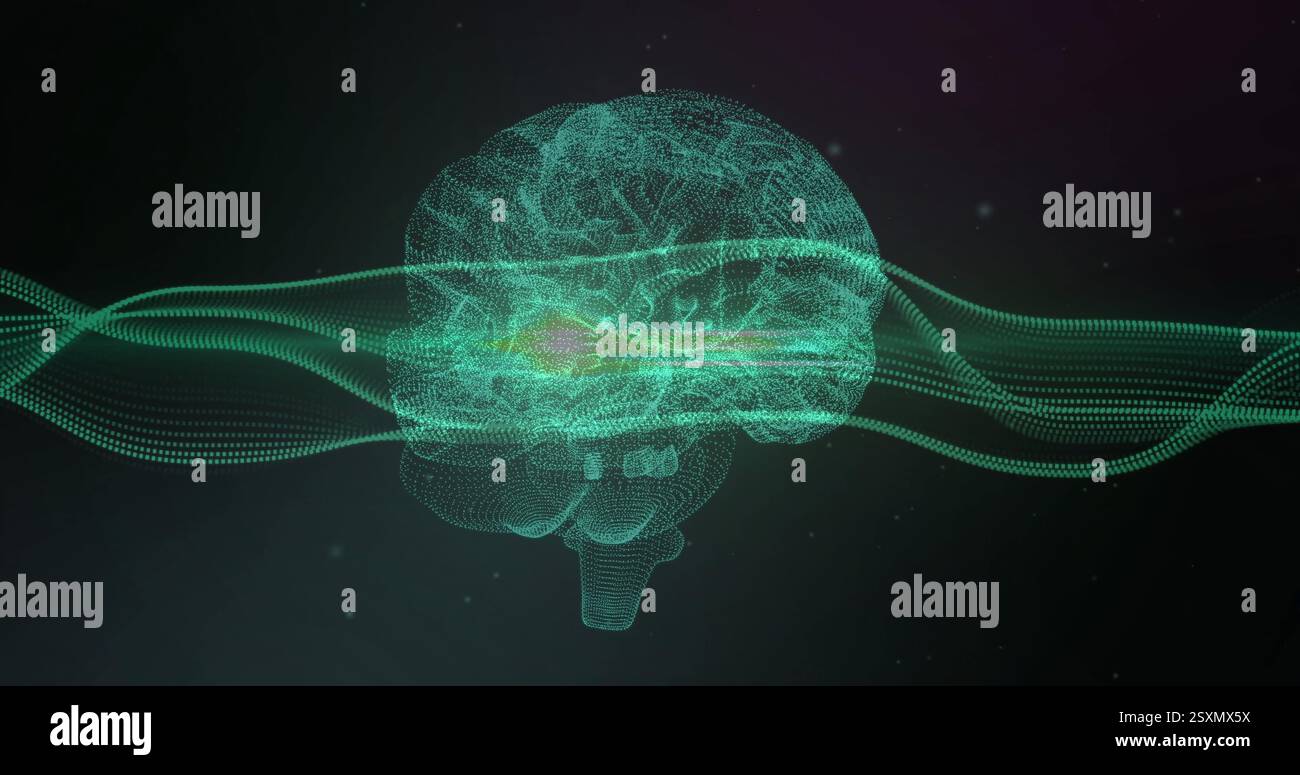 Image of network of connections over brain on black background Stock Photo