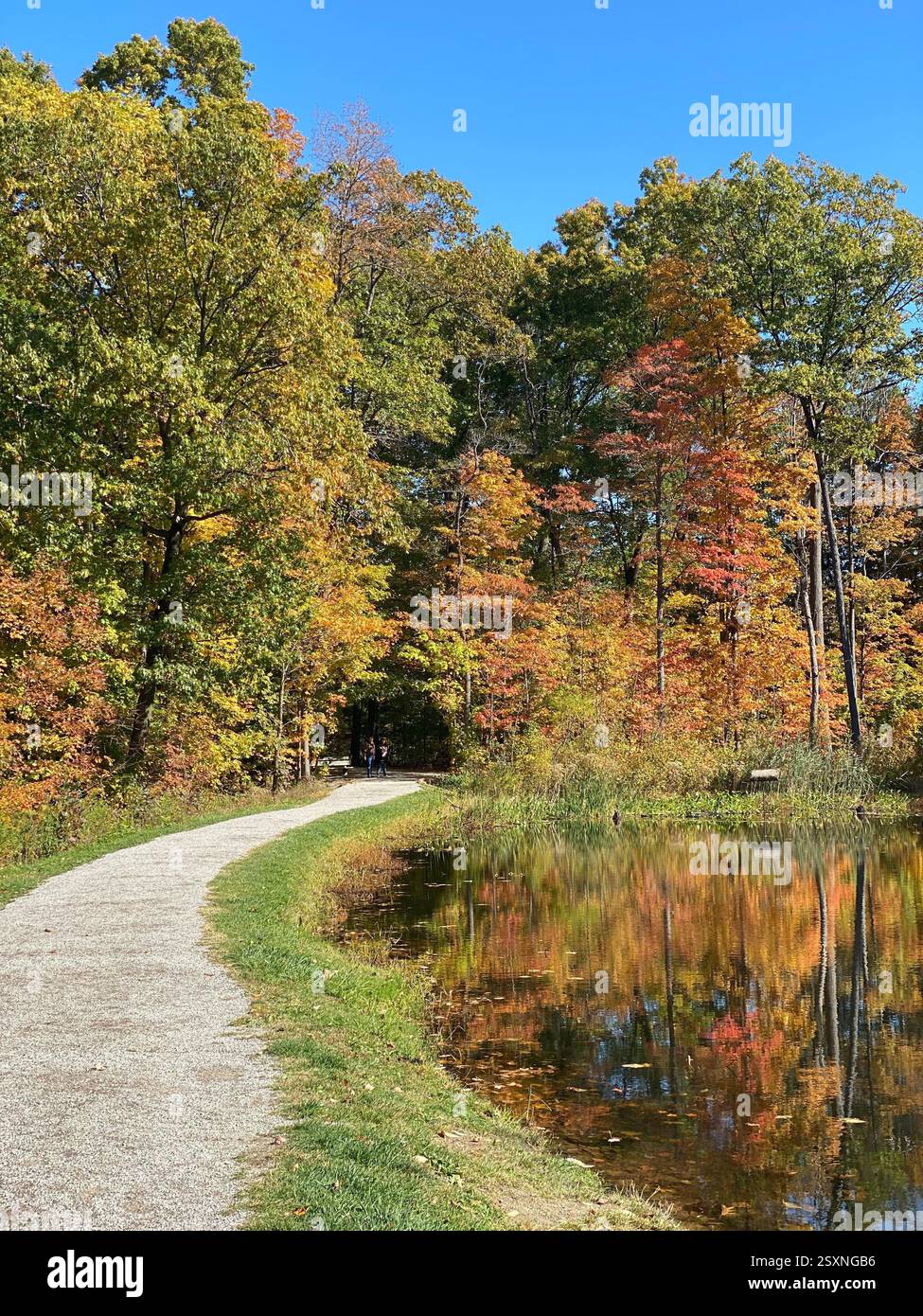 Scenic Autumn Path by a Reflective Lake - Smartphone Captured Stock Image