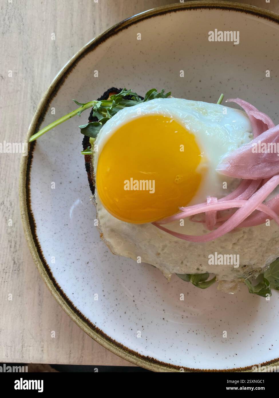 Gourmet Avocado Toast with Fried Egg and Pickled Onions - Smartphone Captured Stock Image