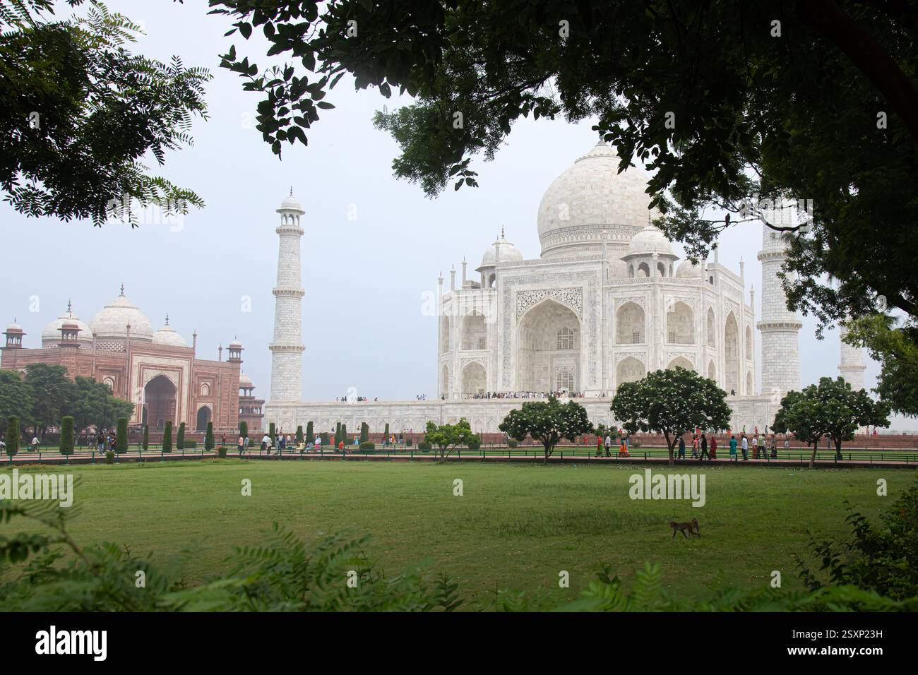 Agra Uttar Pradesh India 8 6 2022 Taj Mahal Area Tourists And agra-uttar-pradesh-india-8-6-2022-taj-mahal-area-tourists-and