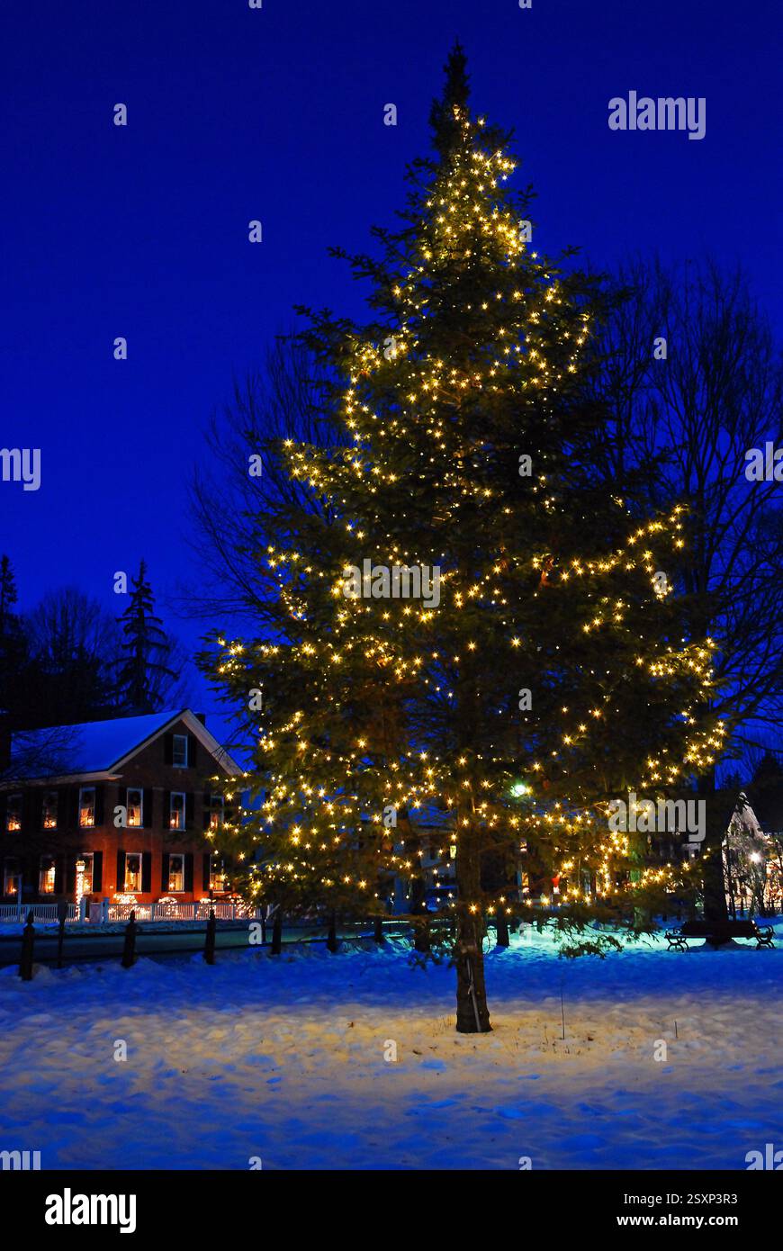 Christmas tree snow night hi-res stock photography and