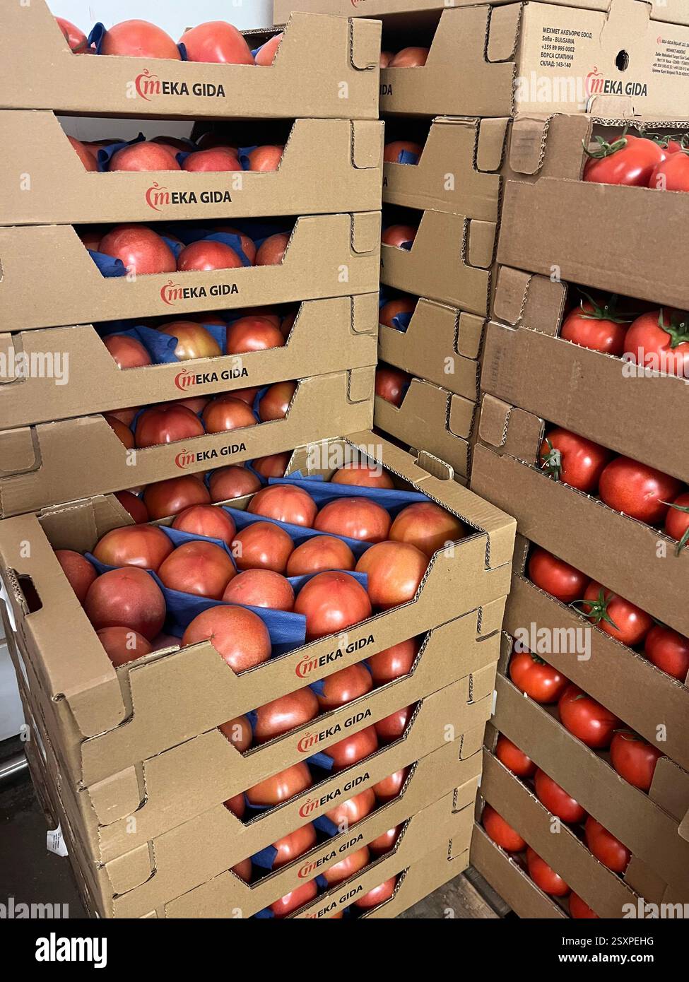 Stacks of cardboard crates filled with fresh tomatoes in warehouse, bulk produce storage and distribution setting, - Smartphone Captured Stock Image
