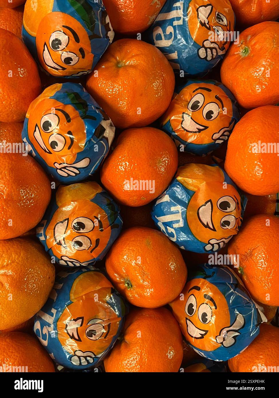 Mandarins packed in crate for distribution and sale, fresh citrus, fresh citrus, wholesale fruits, food supply, fruit storage, food distribution - Smartphone Captured Stock Image