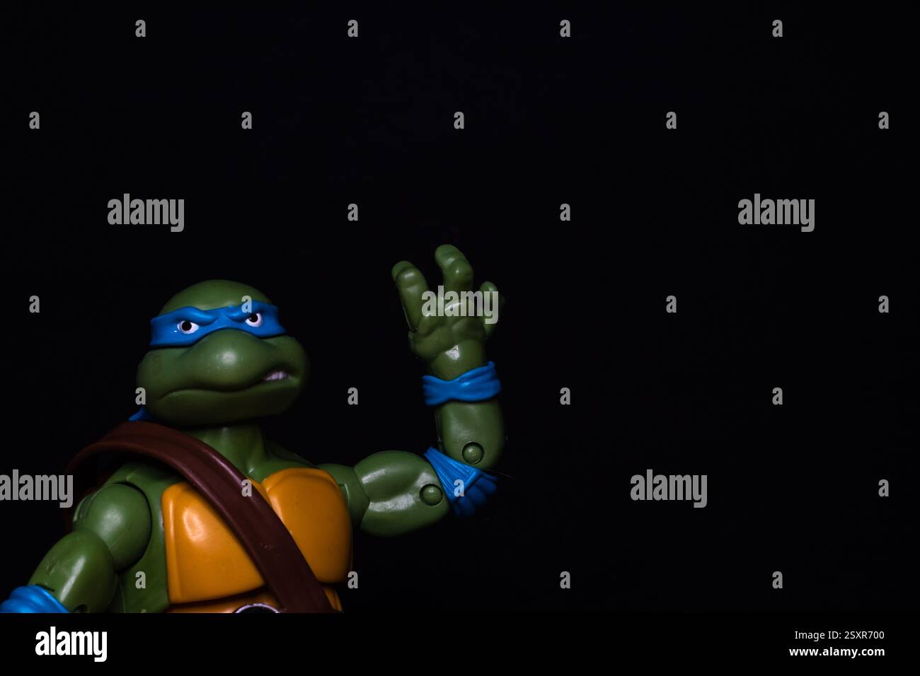 Teenage Mutant Ninja Turtles character Donatello visits One World  Observatory in New York on July 24, 2023. All characters pose with visitors  in anticipation of release of \, image size:1300x956