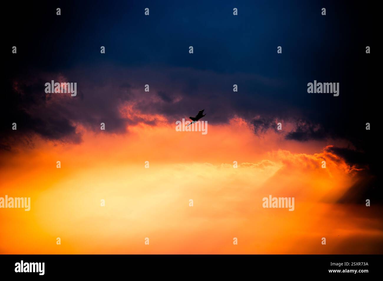 Aerial meeting hi-res stock photography and images - Alamy