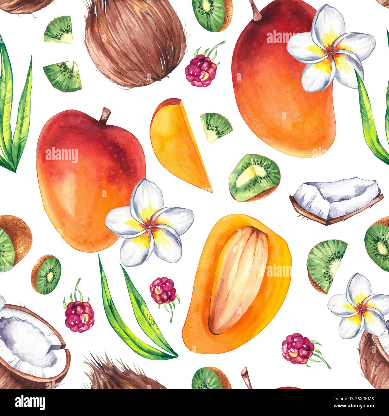 Botanical With Raspberry Patterns Botanical pattern watercolor with plants fruits and flowers. Mango ...