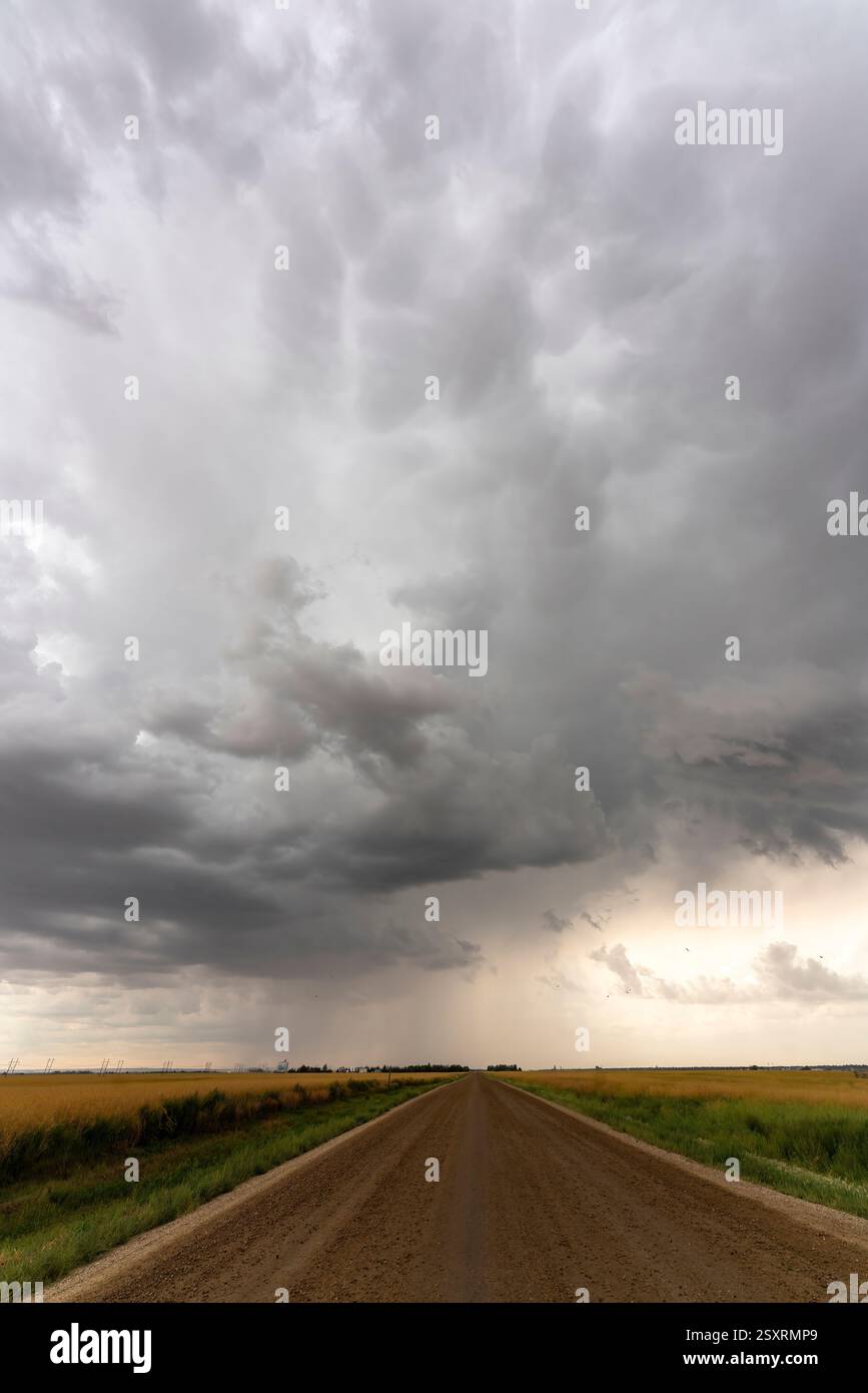 Gravel road leading towards dramatic storm clouds over fields in the ...