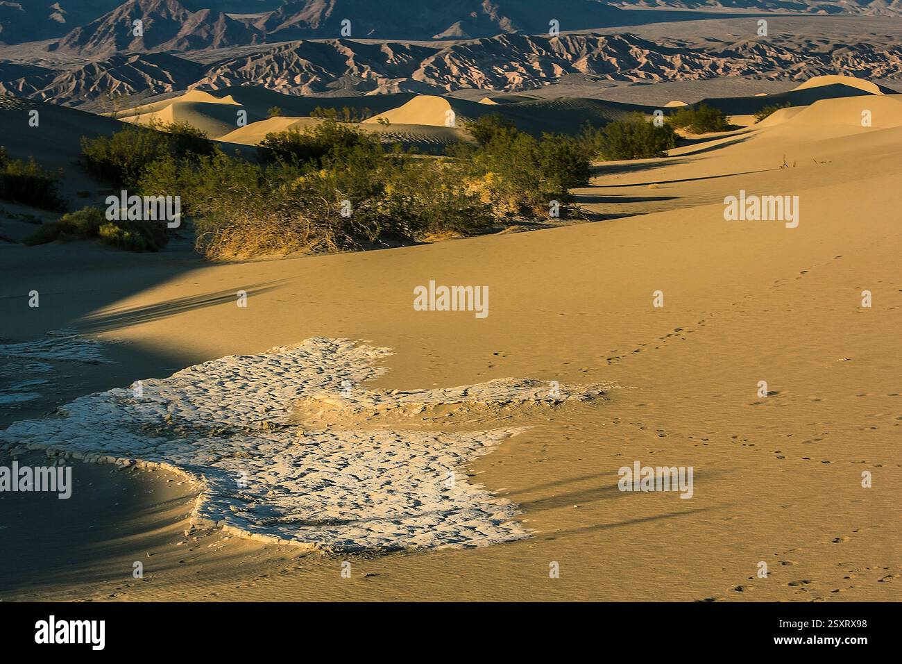 Desert landscape with a large rock in the foreground. The rock is ...
