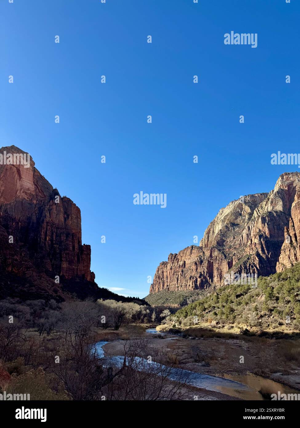 Zion National Park - Smartphone Captured Stock Image