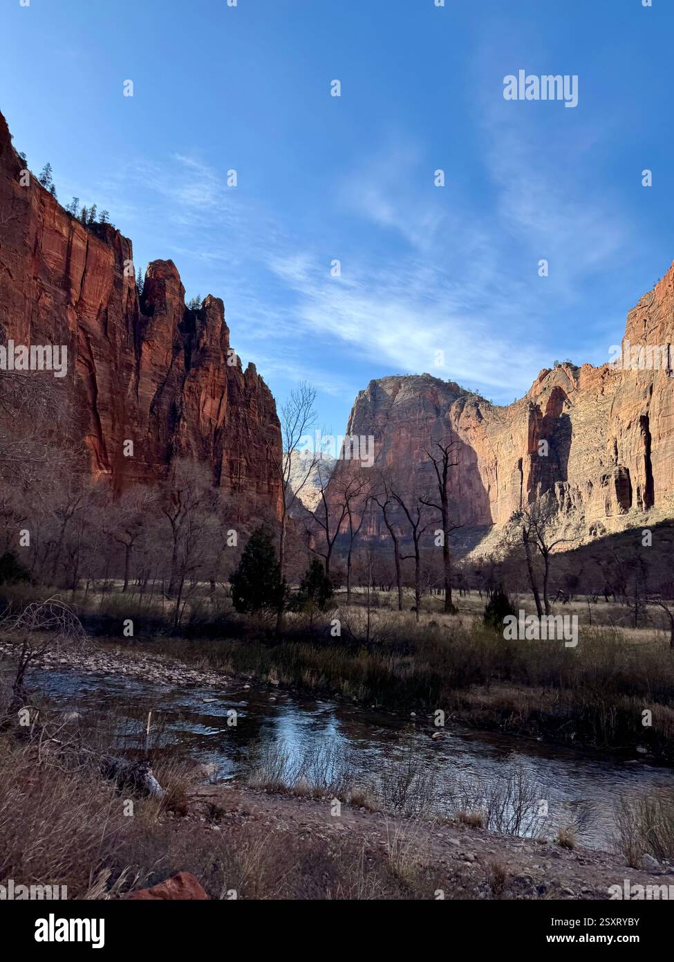 Zion National Park - Smartphone Captured Stock Image