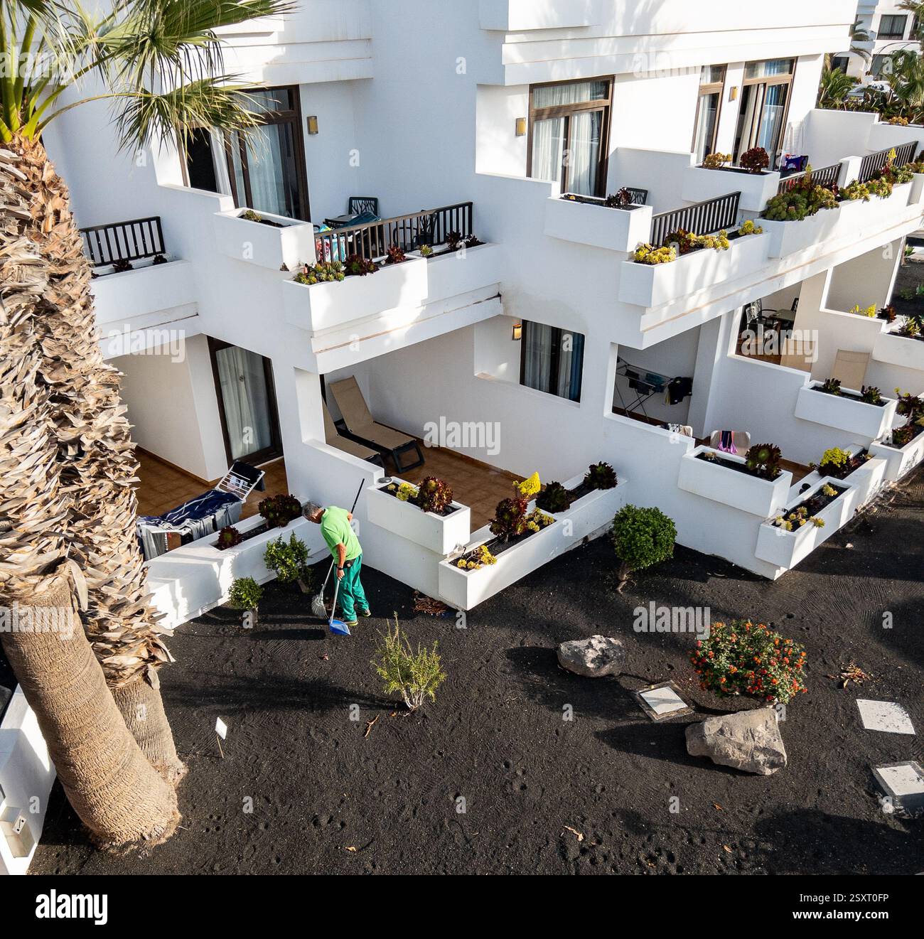 Gardener cleaning leaves up around the H10 hotel suites Lanzarote Gardens - Smartphone Captured Stock Image