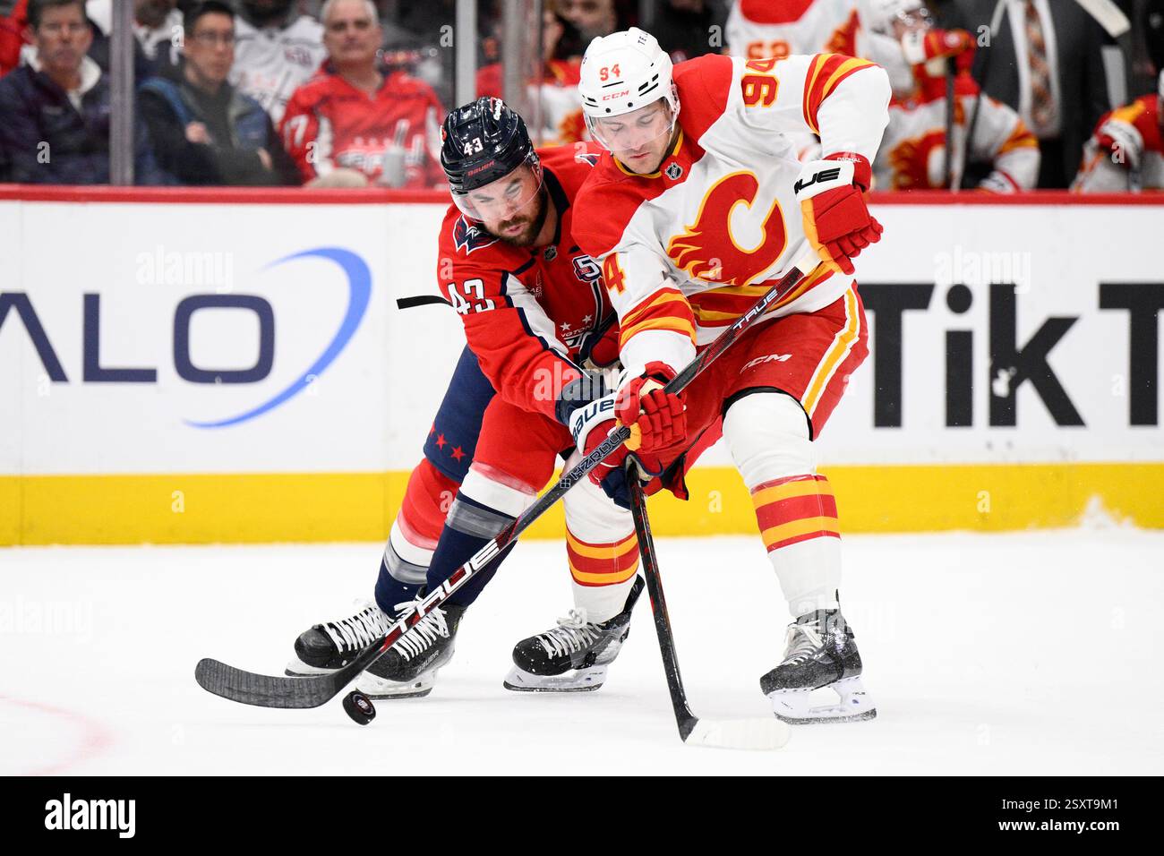 Washington Capitals right wing Tom Wilson (43) and Calgary Flames defenseman Brayden Pachal (94