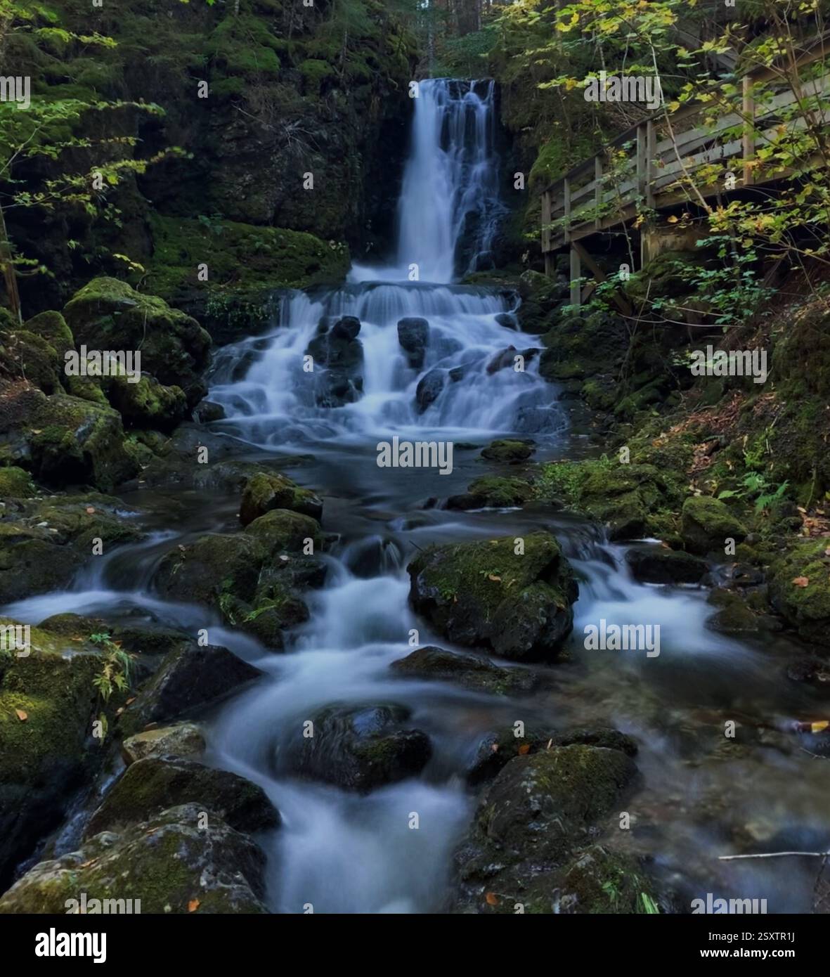 Vibrant waterfall with a long exposure, blending nature’s beauty with time. - Smartphone Captured Stock Image