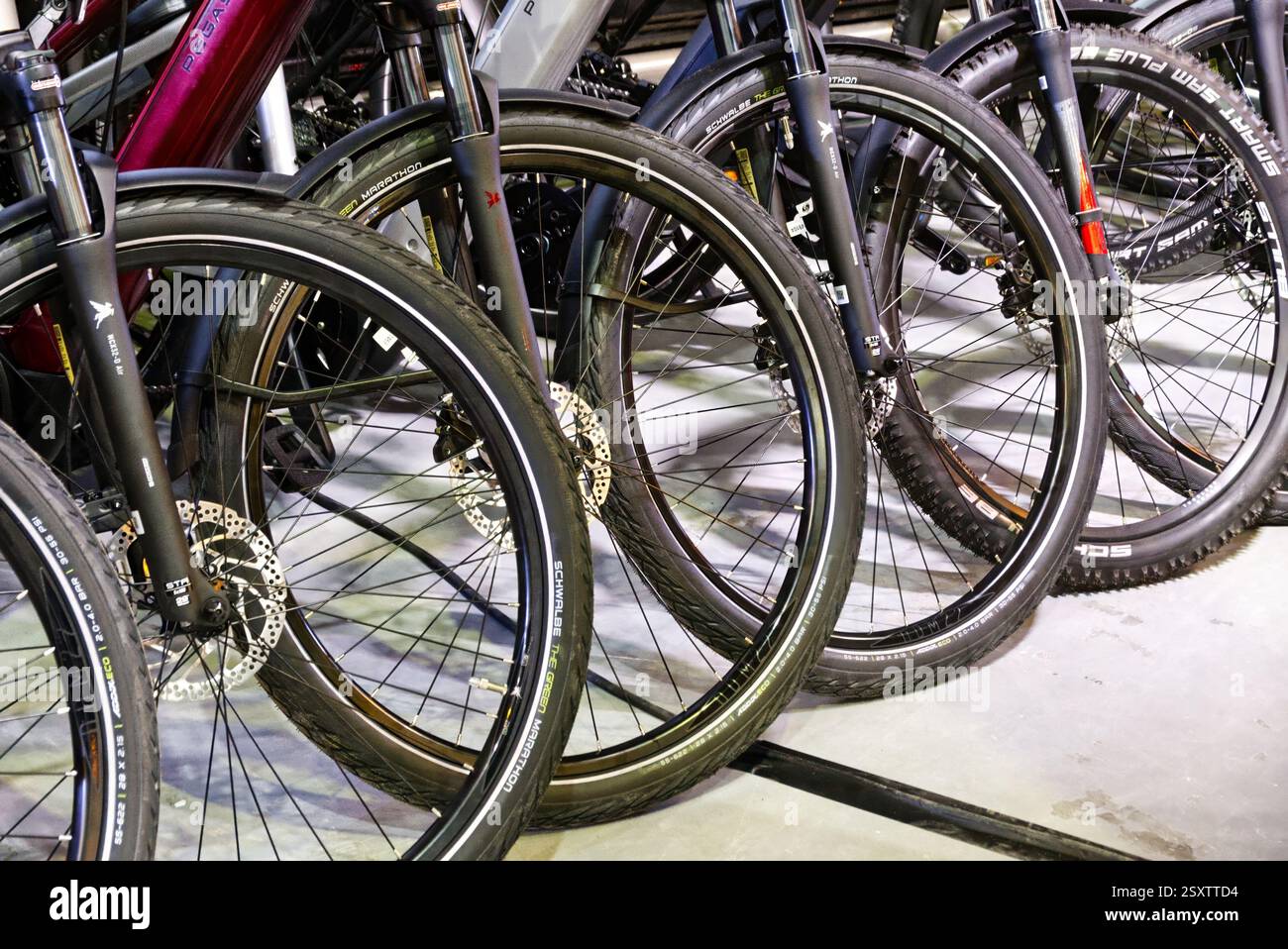 Schwalbe tires on displayed bicycles at a bike fair in Braunschweig, Germany, February 2025, 23 Stock Photo