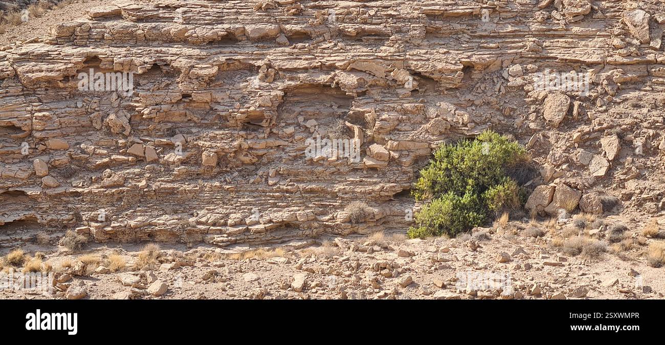 Horizontal View of a Desert Landscape of an Escarpment with a Resilient Bush in the Foreground in Saudi Arabia - Smartphone Captured Stock Image