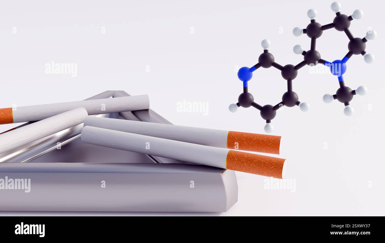 cigarette structure of an electronic (EC). ECs are made of a plastic Simplified cigarette structure with the