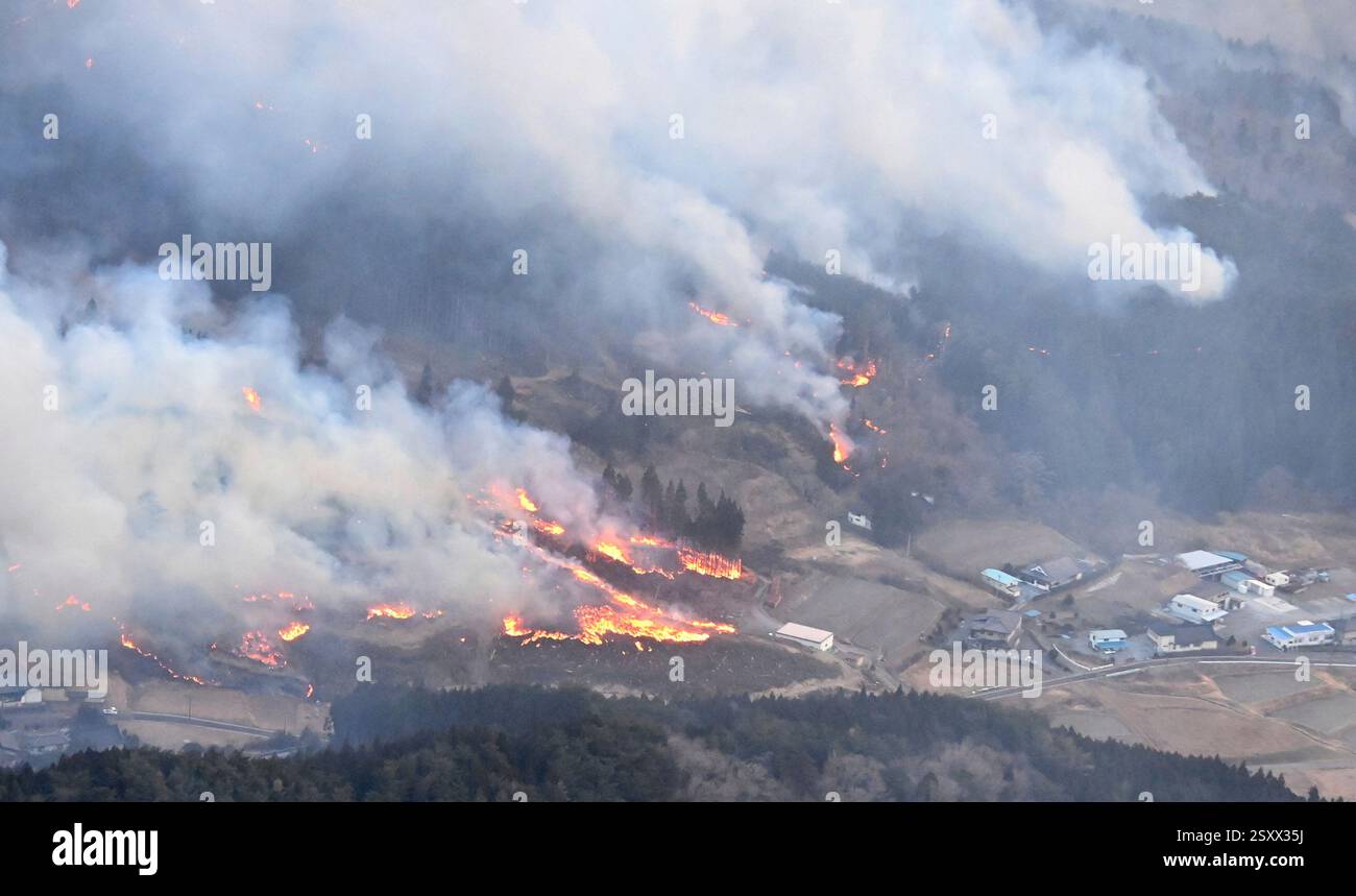 Global Supply Chains Feel the Heat: Agriculture, Timber, and Tech Exports at Risk