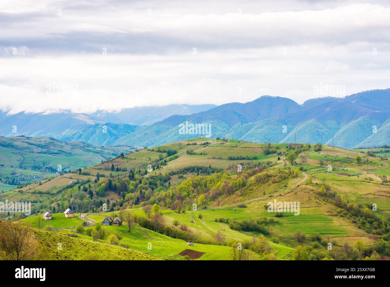 mountainous rural landscape in spring. climate carpathian. trees and agricultural fields on hills rolling in to the distant valley. ridge beneath a ov Stock Photo