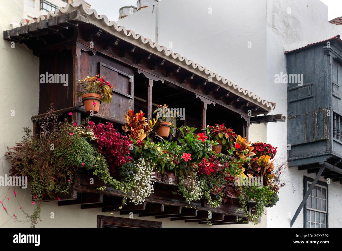SANTA CRUZ, LA PALMA, CANARY ISLANDS - FEBRUARY 05, 2025: Ornate Spanish colonial balcony with flowers on a building in the old town Stock Photo