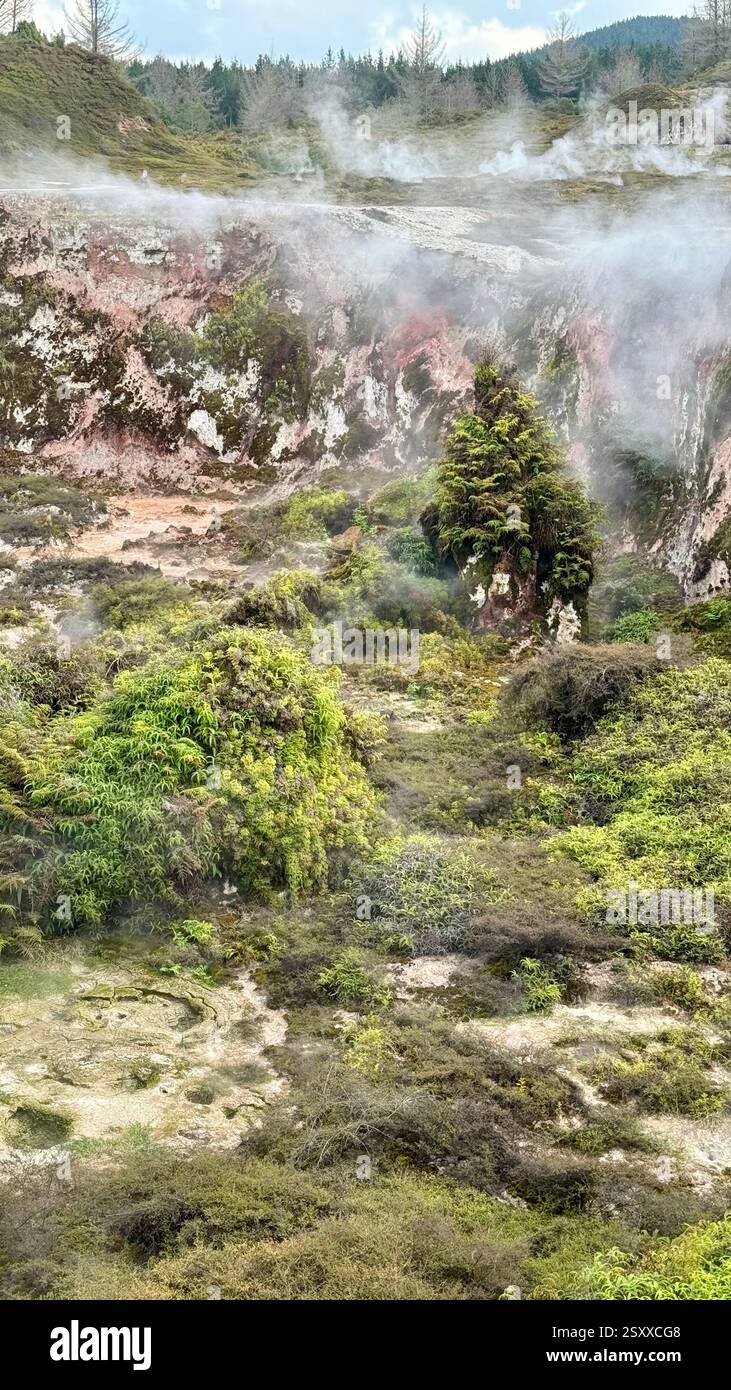Craters of the Moon thermal walk within the Taupo volcanic zone North Island New Zealand - Smartphone Captured Stock Image