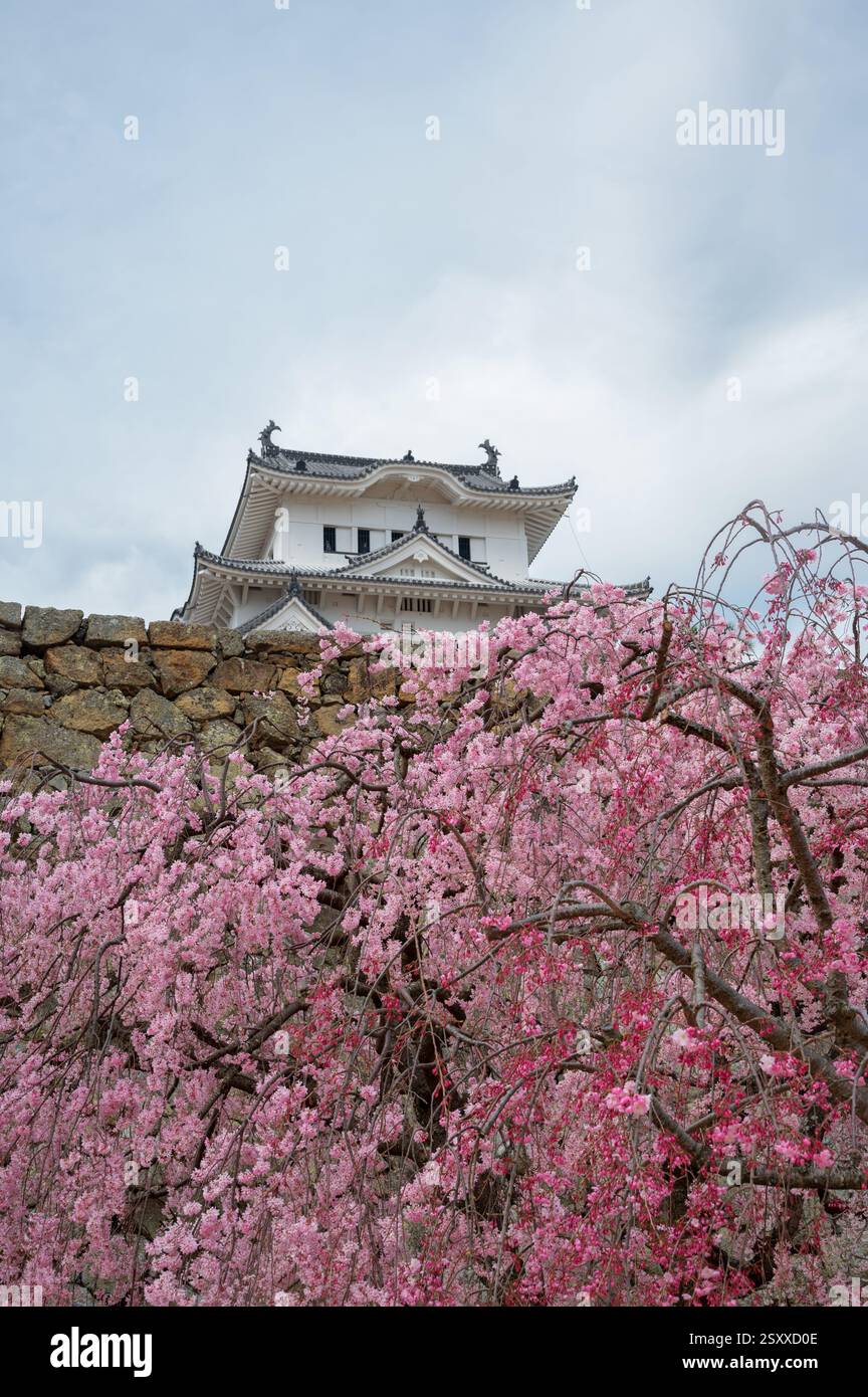 View of the Himeji Castle, a hilltop Japanese castle situated in Himeji ...