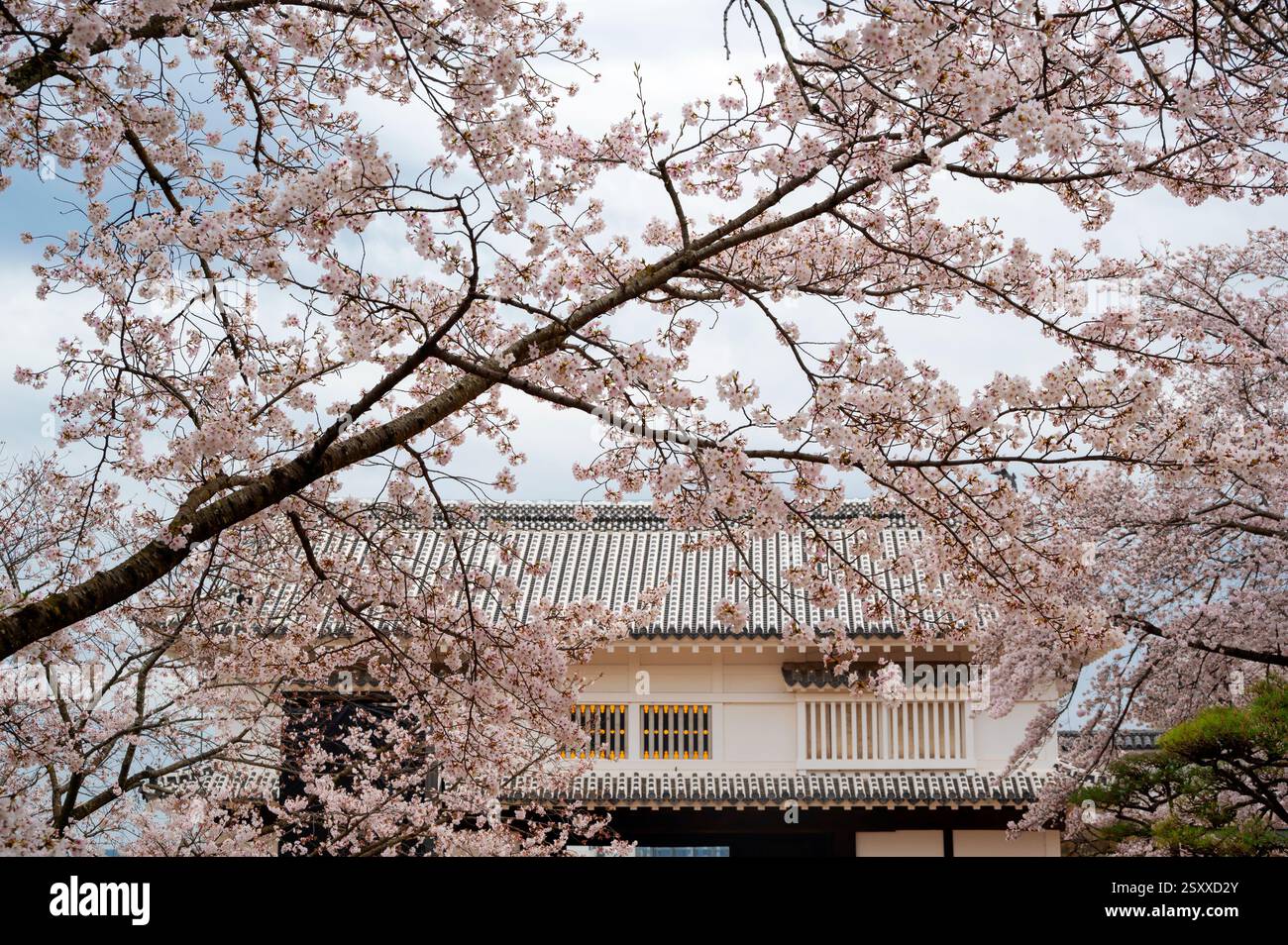View of the beautiful green pond inside Himeji Castle , situated in ...