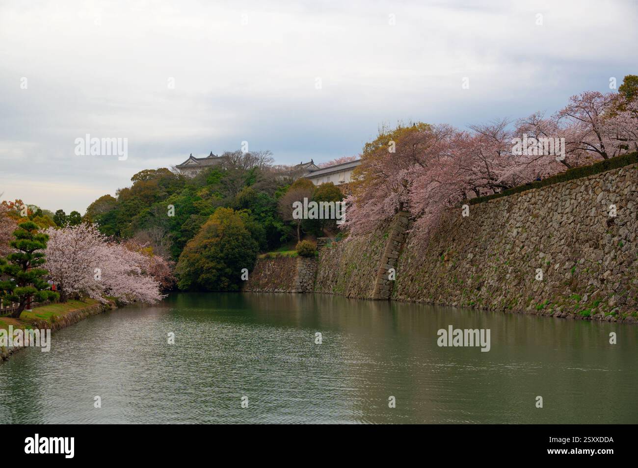 View of the beautiful green pond inside Himeji Castle , situated in ...