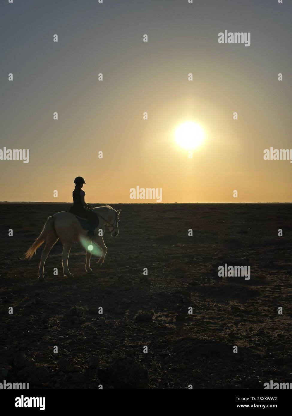 Horseriding in sundown - Smartphone Captured Stock Image