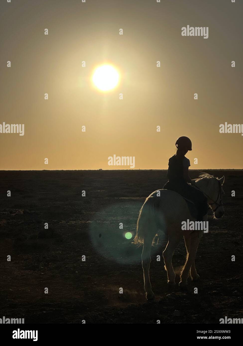 Horseriding in sundown - Smartphone Captured Stock Image