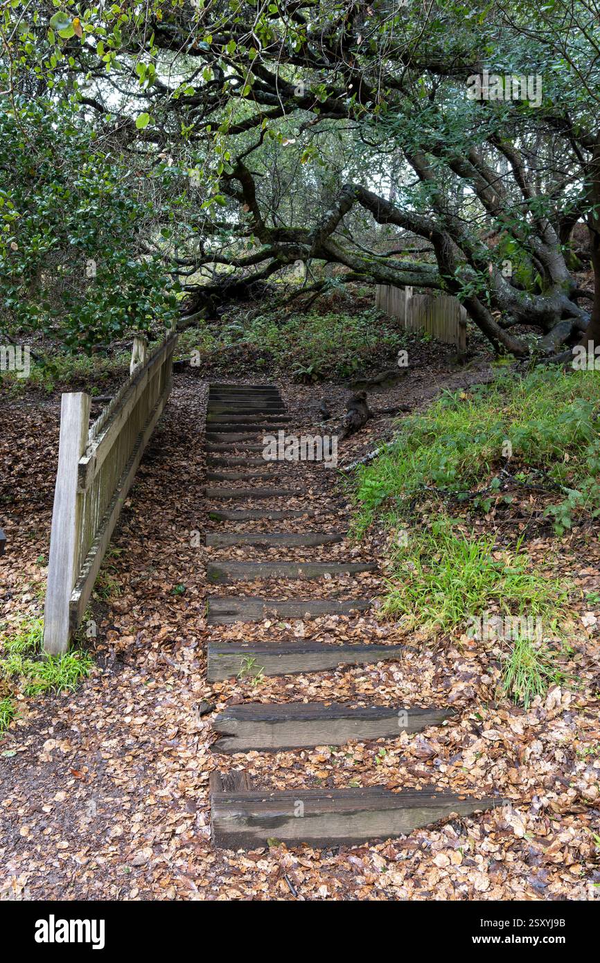 Point Reyes Earthquake 1906 earthquake fence hi-res stock photography and images - Alamy