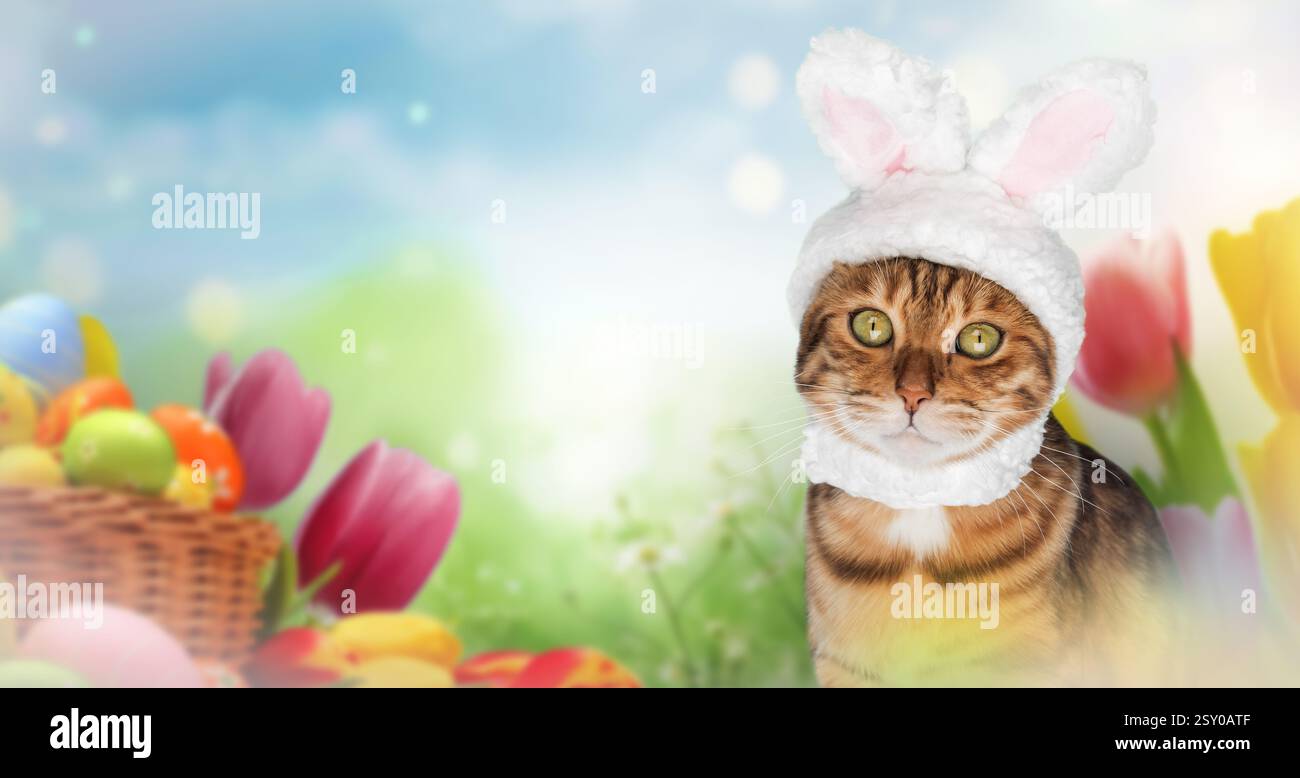 Ginger cat with bunny ears among Easter eggs and spring flowers. Easter background. Copy space. Stock Photo