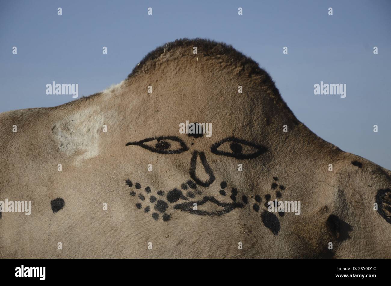 Indian painted faces hi-res stock photography and images - Alamy