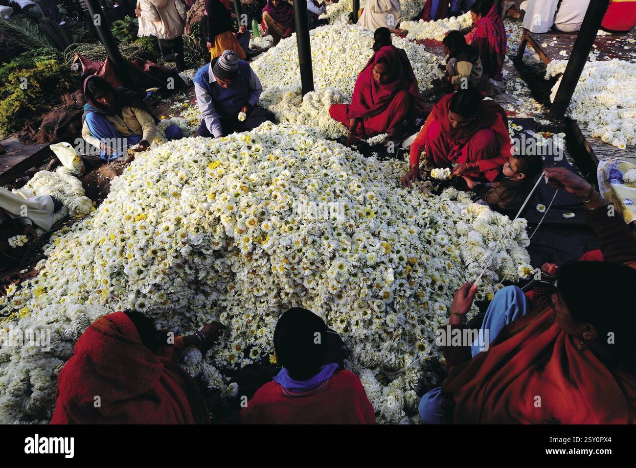People stringing garland, india, asia Stock Photo