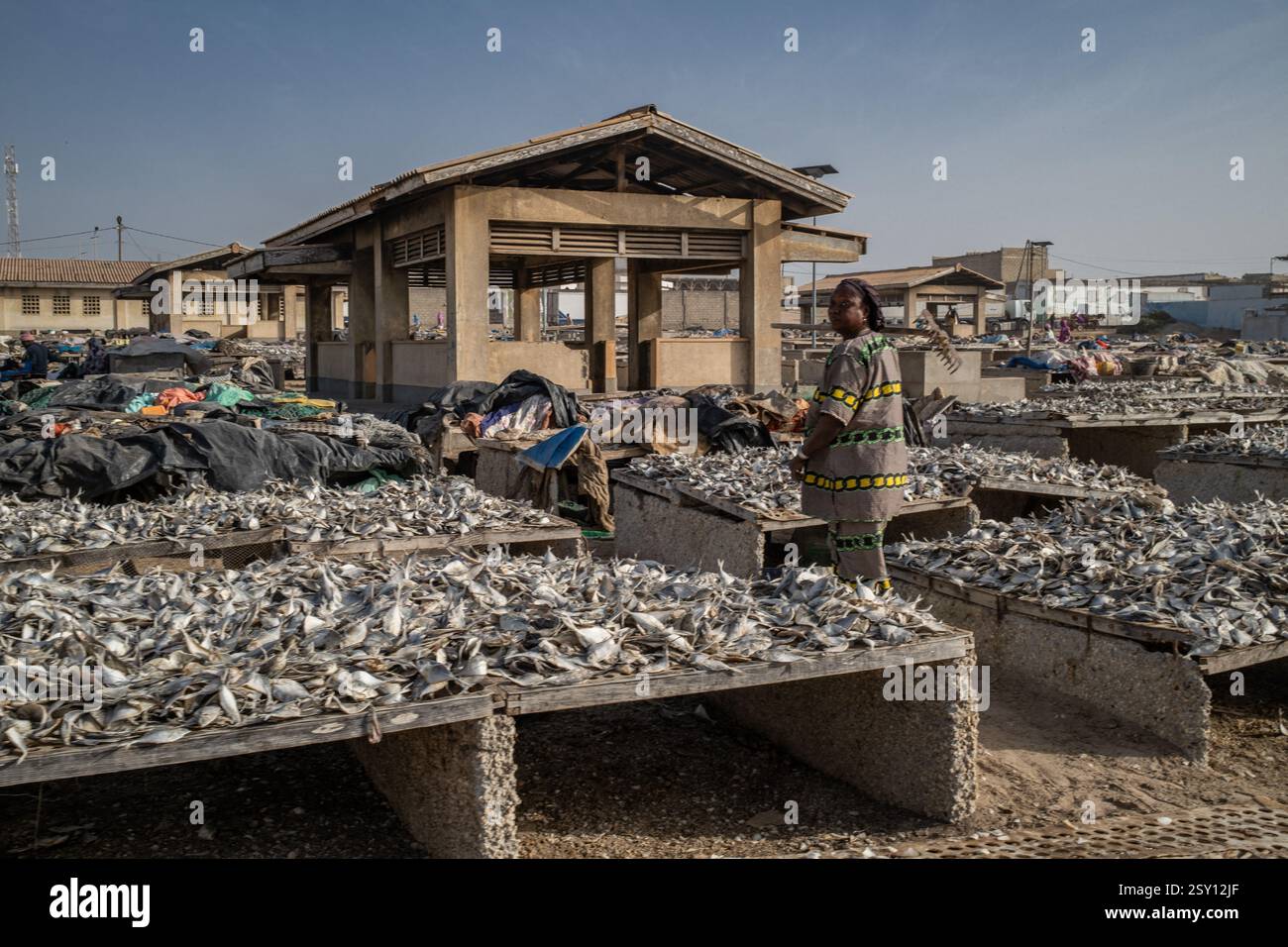 Cayar An artisanal fish drying processing site in Cayar, in the Thies region ...