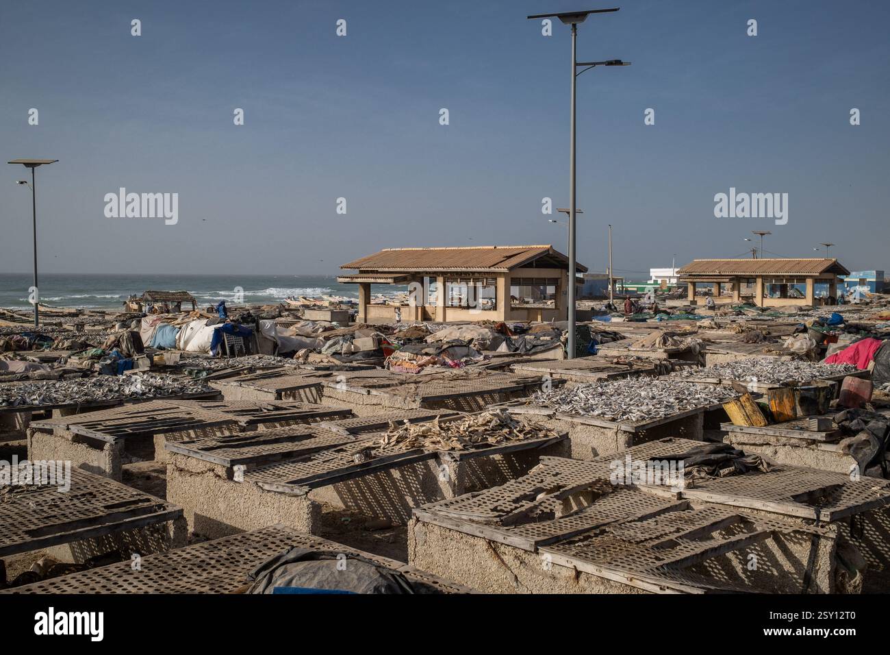 Cayar An artisanal fish drying processing site in Cayar, in the Thies region ...