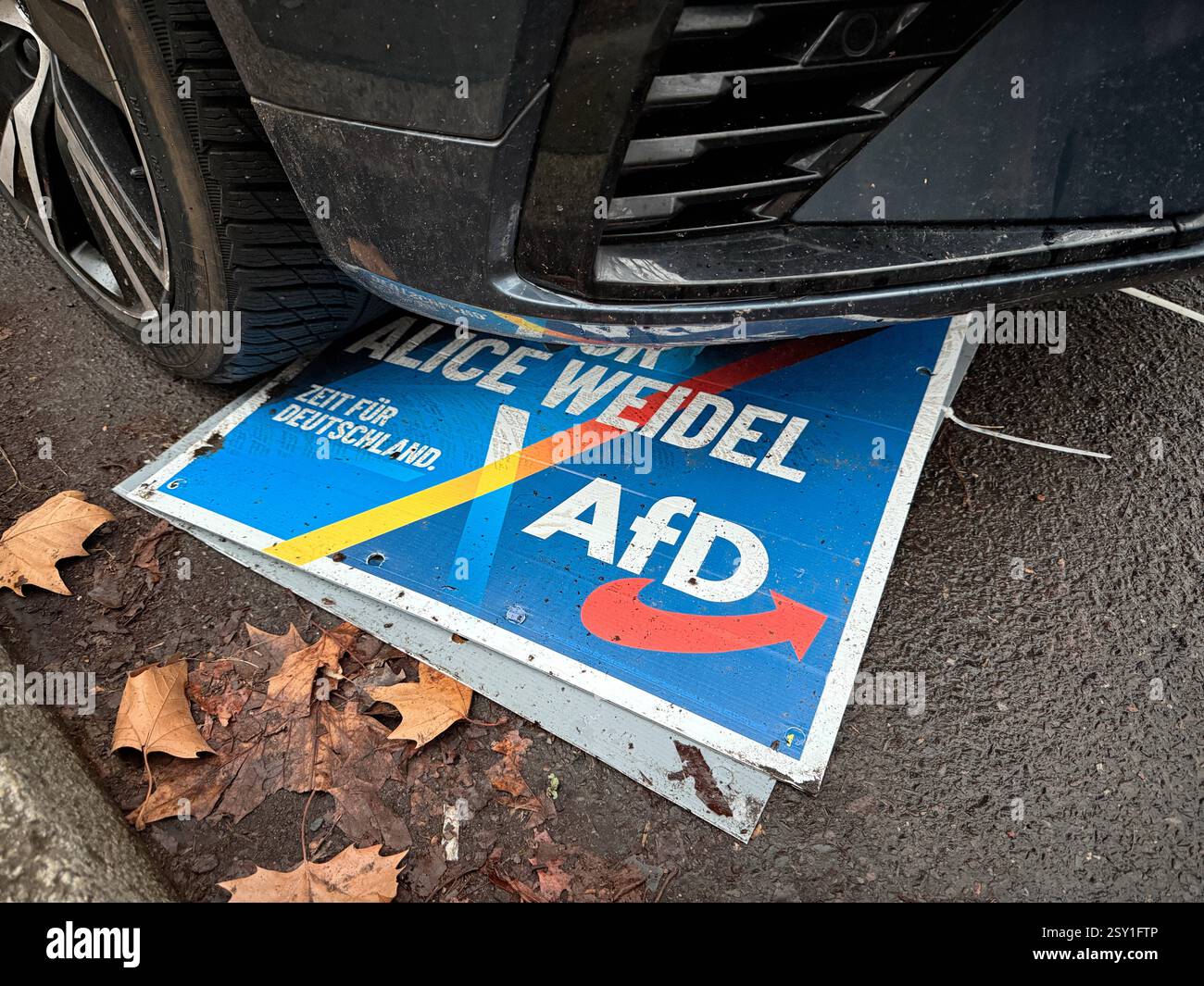 Wahlplakat AfD GER, Berlin,20250226, Plakat der AfD, Alice Weidel ...