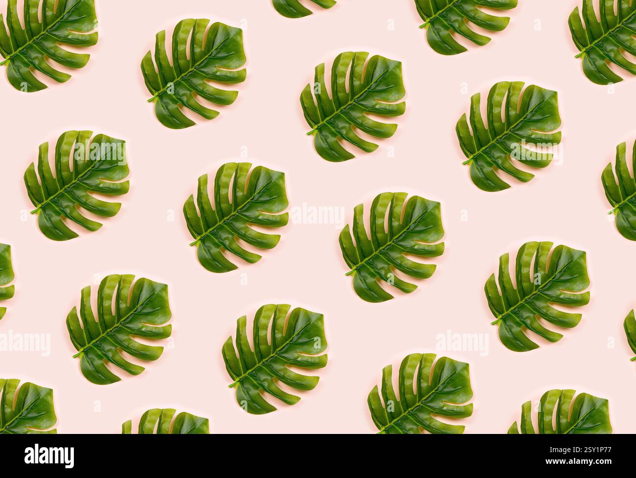 Monstera pattern on pink background Stock Photo
