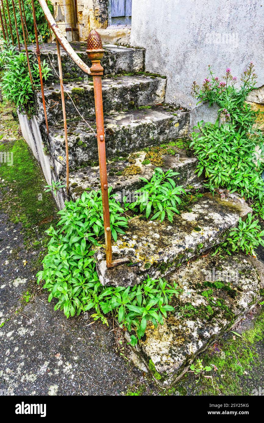 Outside steps and handrail hi-res stock photography and images - Alamy