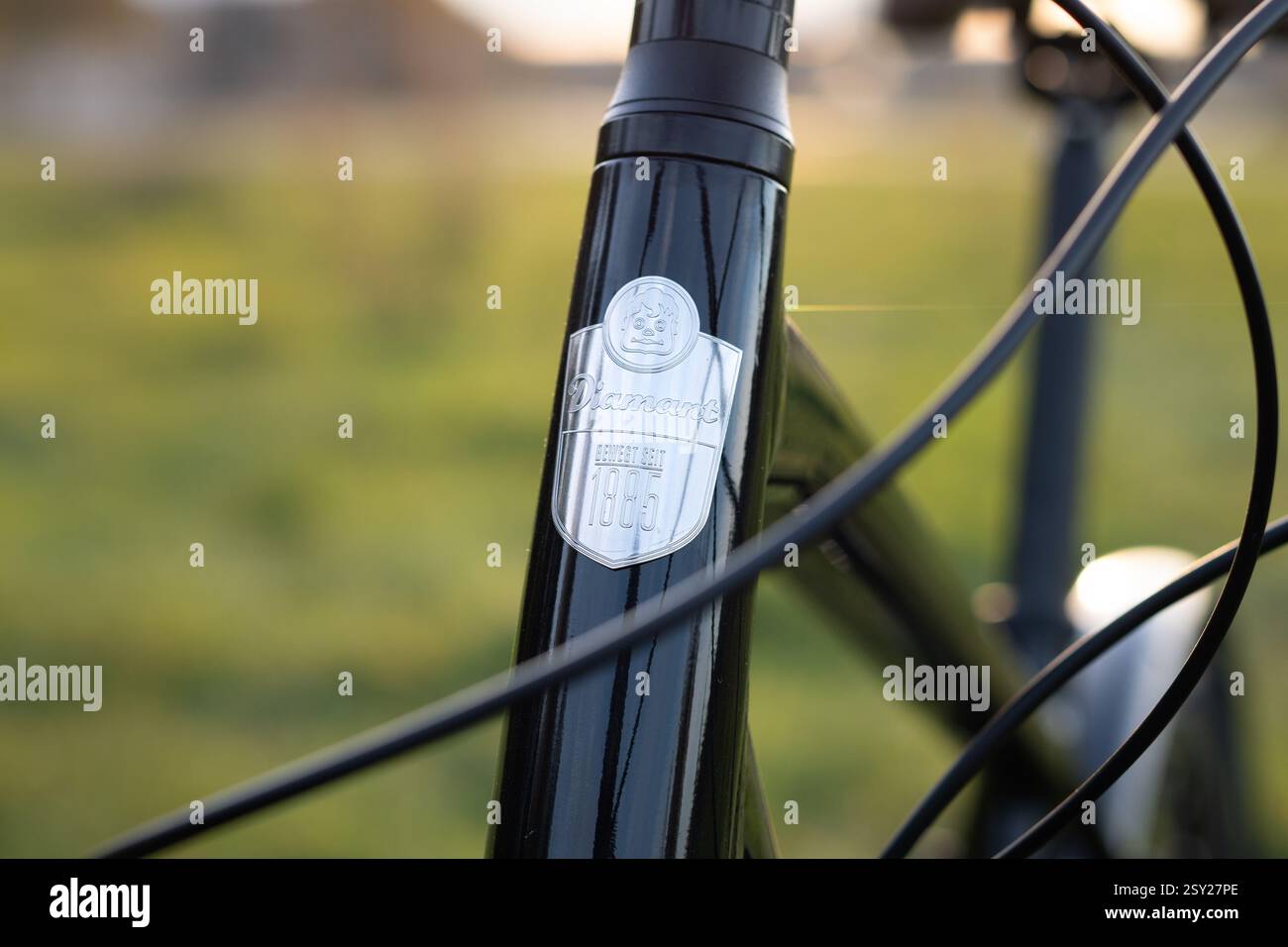 e mobilität fahrrad Berlin Bike 2GO: Kompaktes Falt E-Bike für Stadt & Reise – EFactory Motorleistung:Smart Hub - 400 Wh Schweine-Gänseschmalz von Wandagina polnischer supermarkt dortmund