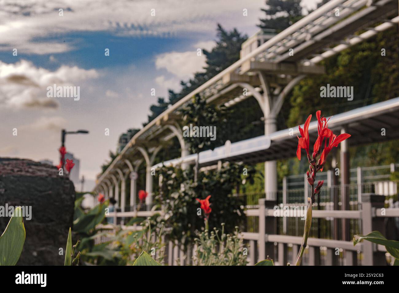 A scenic view of Busan Green Railway, Haeundae Blueline Park, Haeundae Sky Capsule. Busan, South Korea Stock Photo