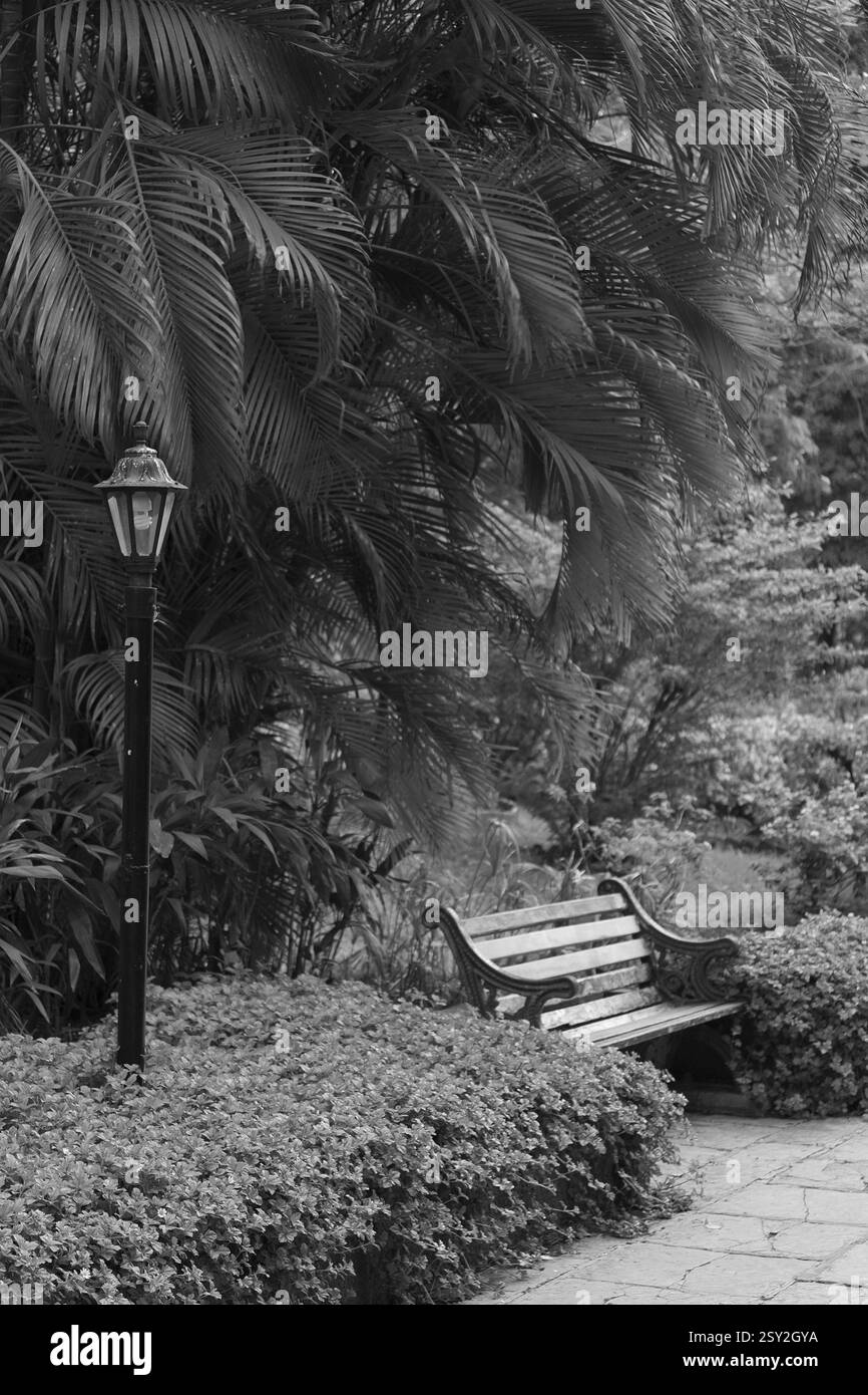 Indian bench nobody Black and White Stock Photos & Images - Alamy