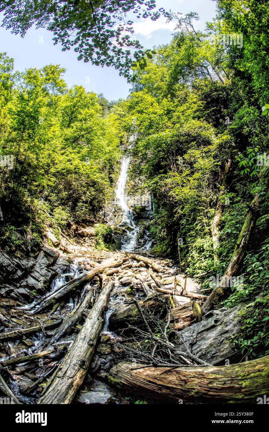 Waterfall is flowing down a rocky path. The water is clear and the ...