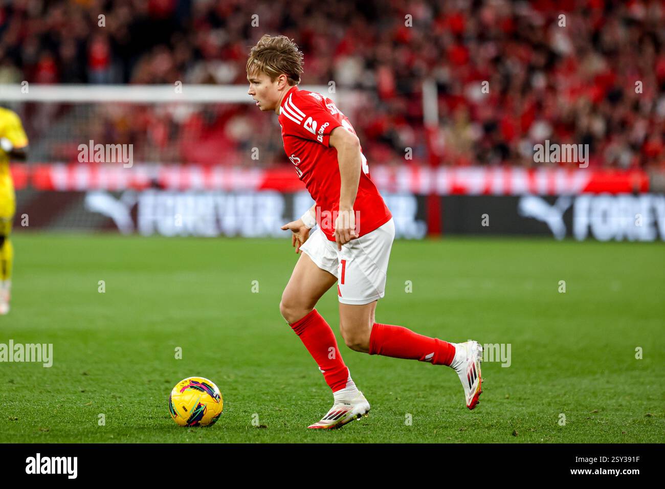 Andreas Schjelderup forward of SL Benfica during the Taça de Portugal ...