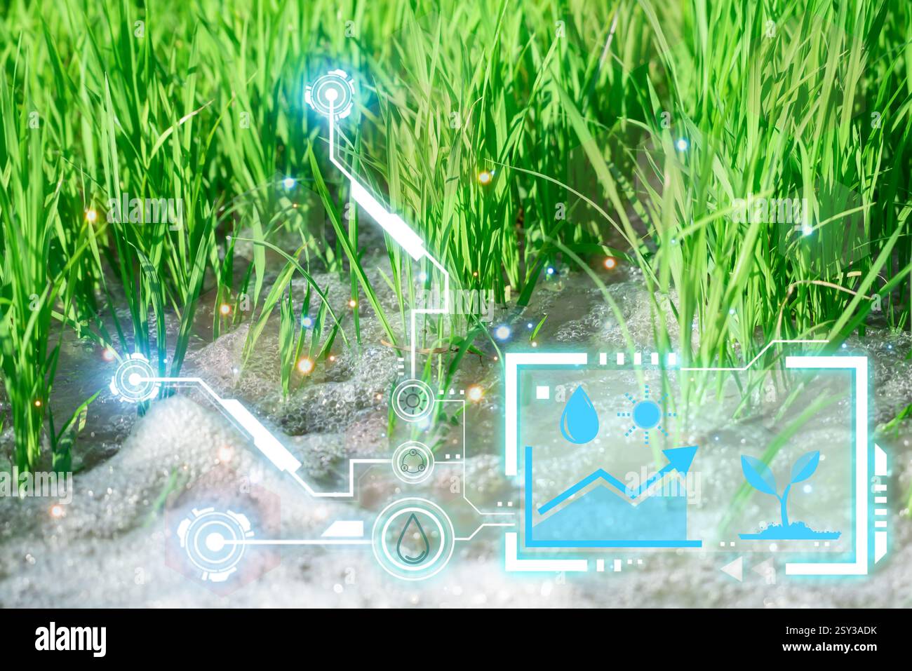 Smart farm digital icon and futuristic AI data infographic of Watering ...