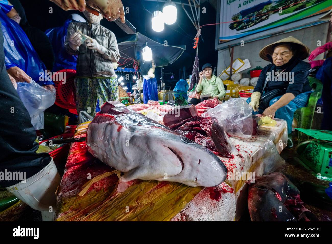 Fresh fish is for sale daily at the Thanh Ha fish market, Chá Ca Thanh ...