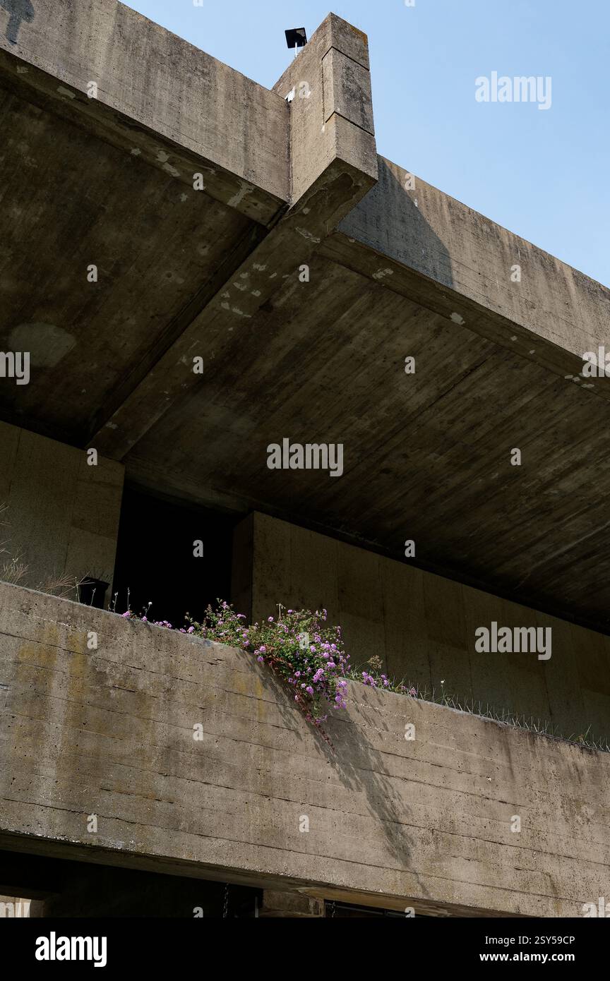 Delicate flowers emerge from the raw concrete structure of the Calouste ...