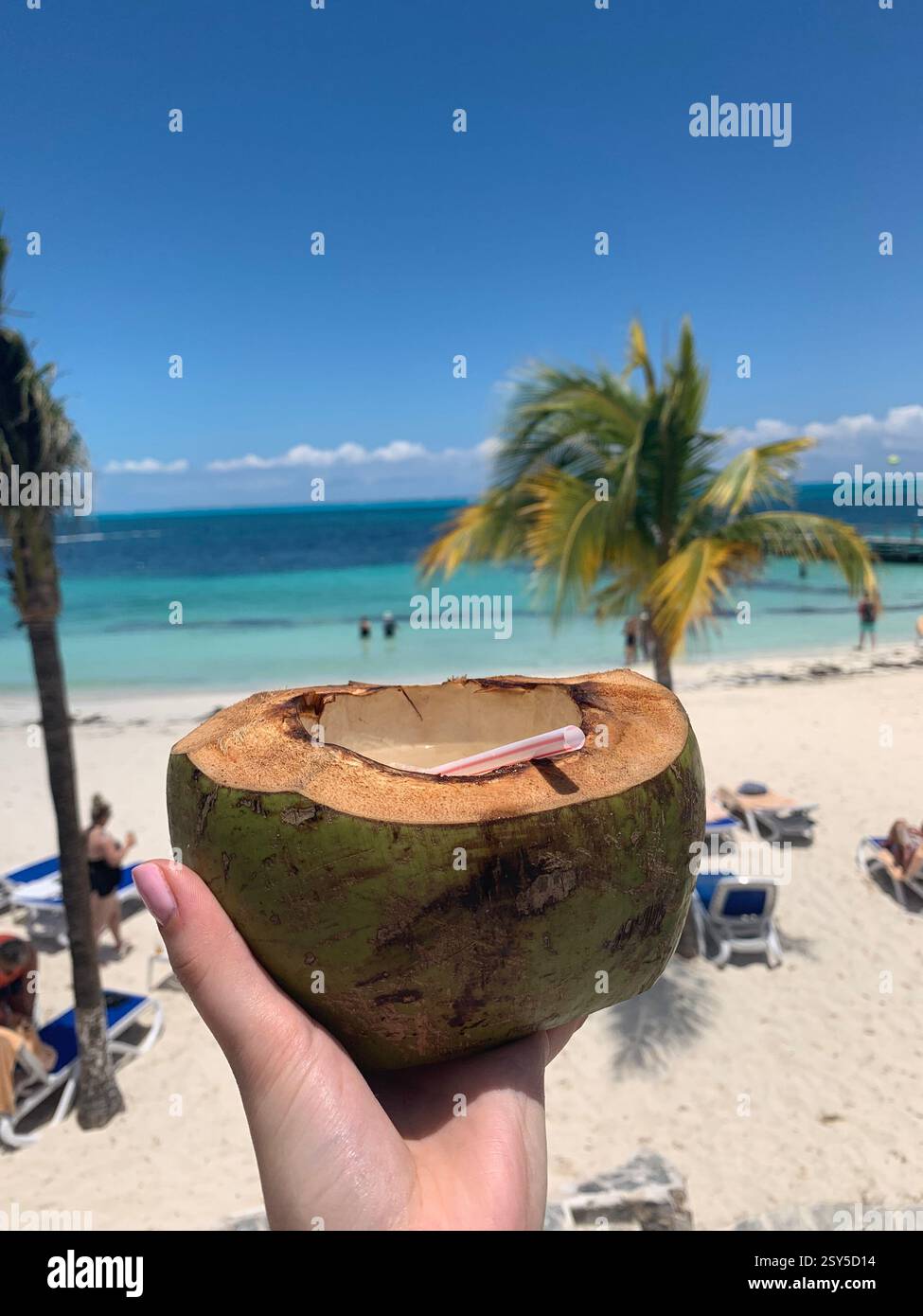 Refreshing coconut drink held against a tropical beach backdrop in Mexico, with turquoise waters, white sand, and a palm tree in the background - Smartphone Captured Stock Image
