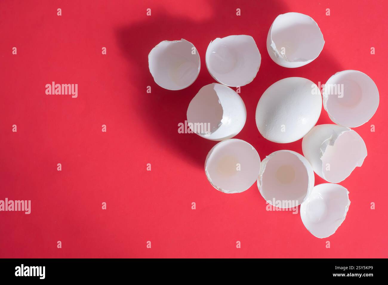 Top view of white eggshells are grouped together on a vibrant red background, emphasizing color contrast and texture. Stock Photo