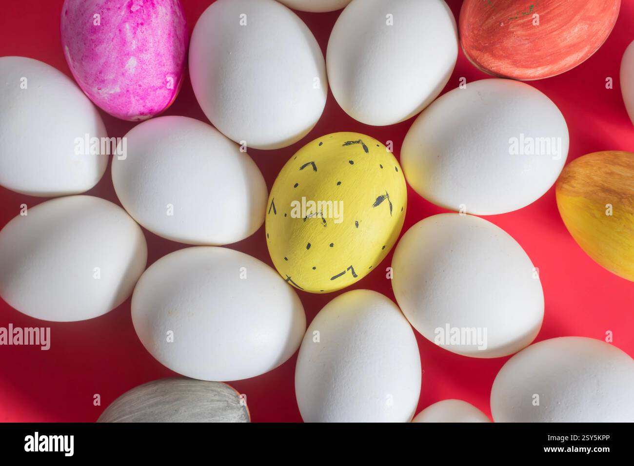Top view of painted and plain white eggs displayed on a red background. Stock Photo