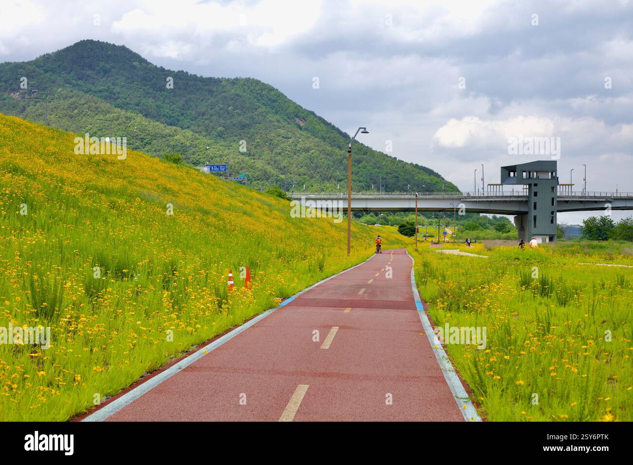Sejong City, South Korea - May 27, 2021: A cyclist rides along the red ...